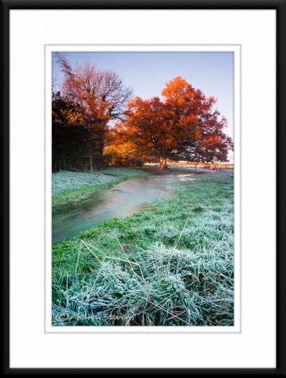 Autumn Frost, Cranborne